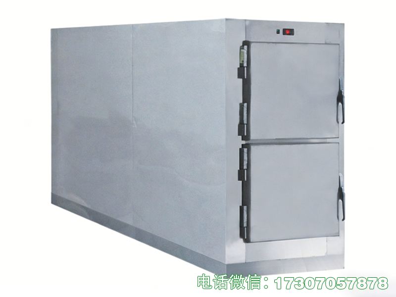 廣安鄉(xiāng)鎮(zhèn)遺體保存柜