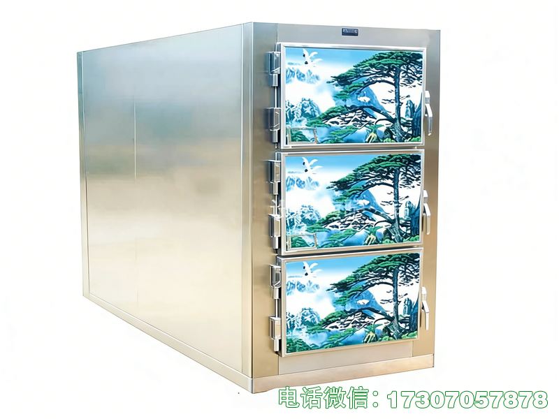 鄉(xiāng)鎮(zhèn)遺體冷凍箱