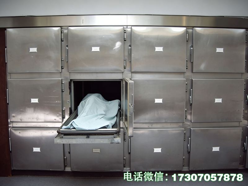 迪慶州遺體存尸柜
