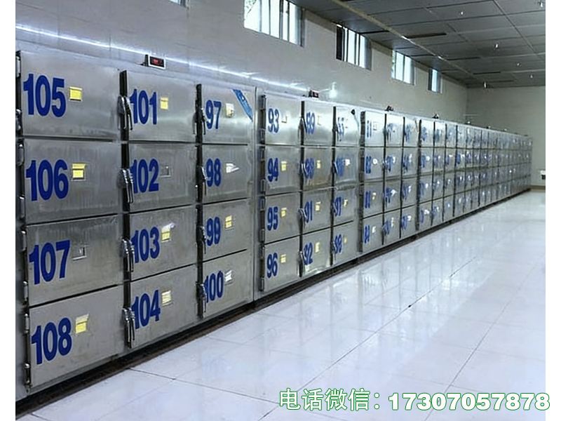 迪慶州殯葬服務(wù)靜音尸體存尸柜