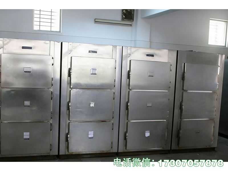 安寧殯葬服務(wù)遺體太平柜