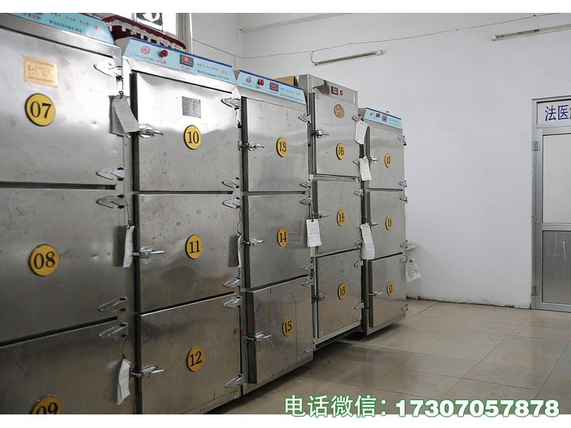 迪慶州殯儀館長效尸體存尸柜