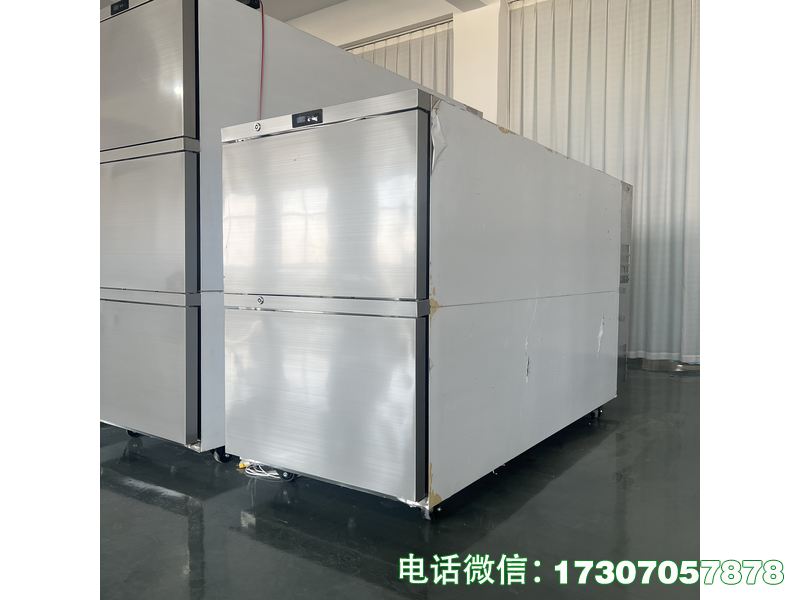 廣安雙艙遺體冷凍箱