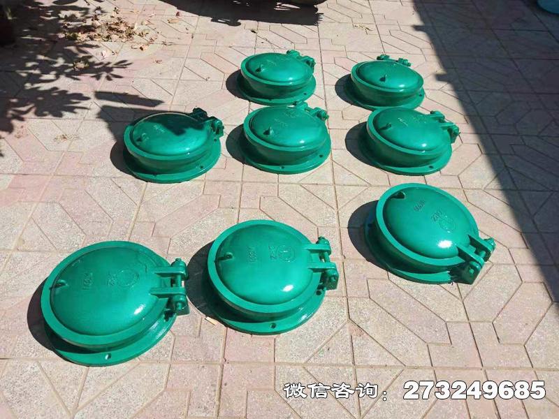 曲江玻璃鋼止水拍門