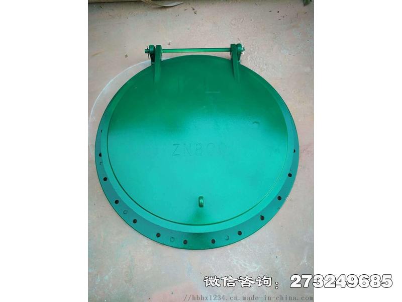 坊子污水口玻璃鋼拍門