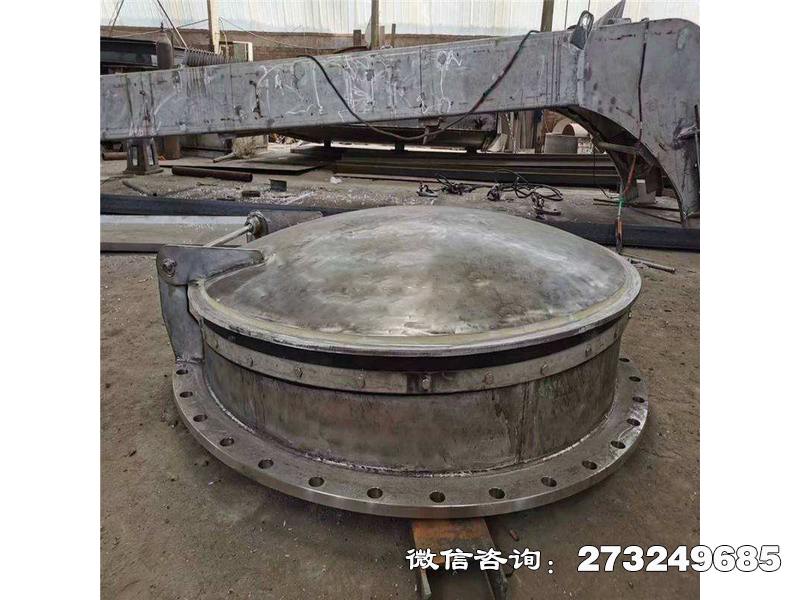 云夢(mèng)縣不銹鋼法蘭拍門