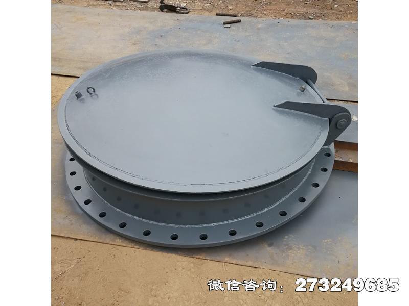 云夢(mèng)縣不銹鋼法蘭連接拍門