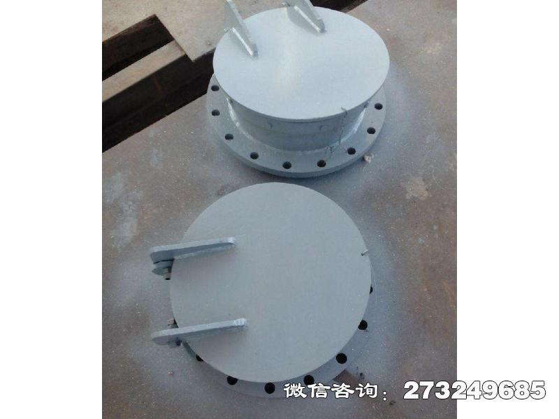 復(fù)合材料側(cè)翻拍門(mén)