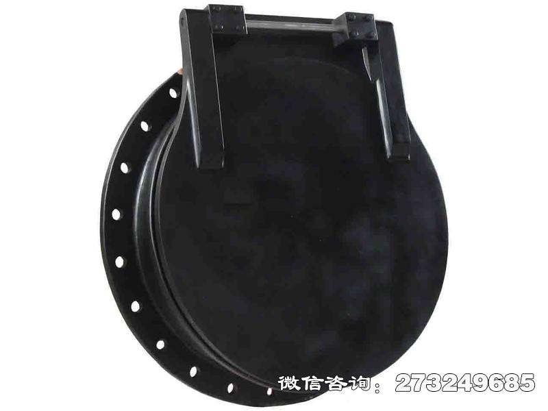 大新縣pgz鑄鐵拍門