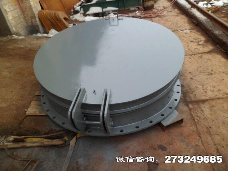 魚峰水庫鑄鐵拍門