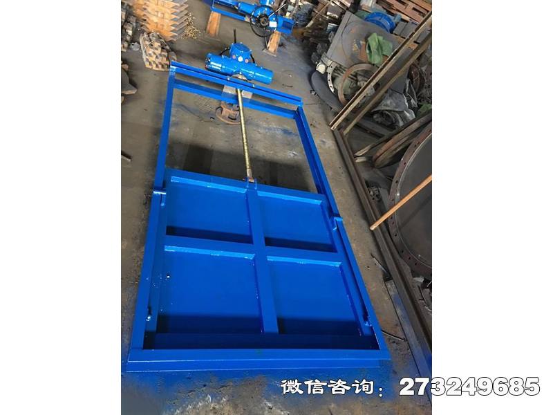 雞冠機(jī)閘一體渠道閘門