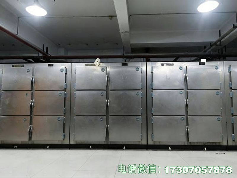 醫(yī)用遺體冰柜