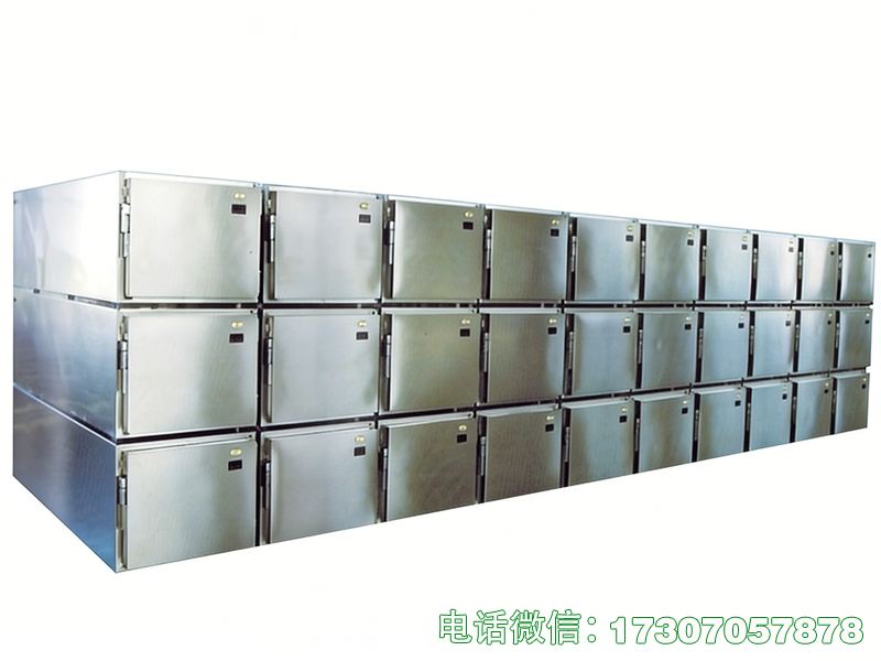 醫(yī)用尸體冰柜