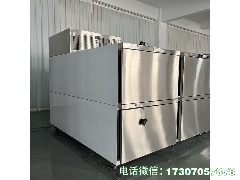 雙艙遺體暫存柜