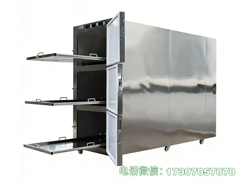 醫(yī)用冷藏遺體冷凍箱