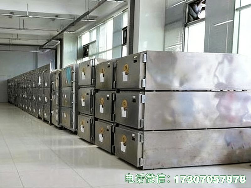 醫(yī)用防污染尸體保存柜