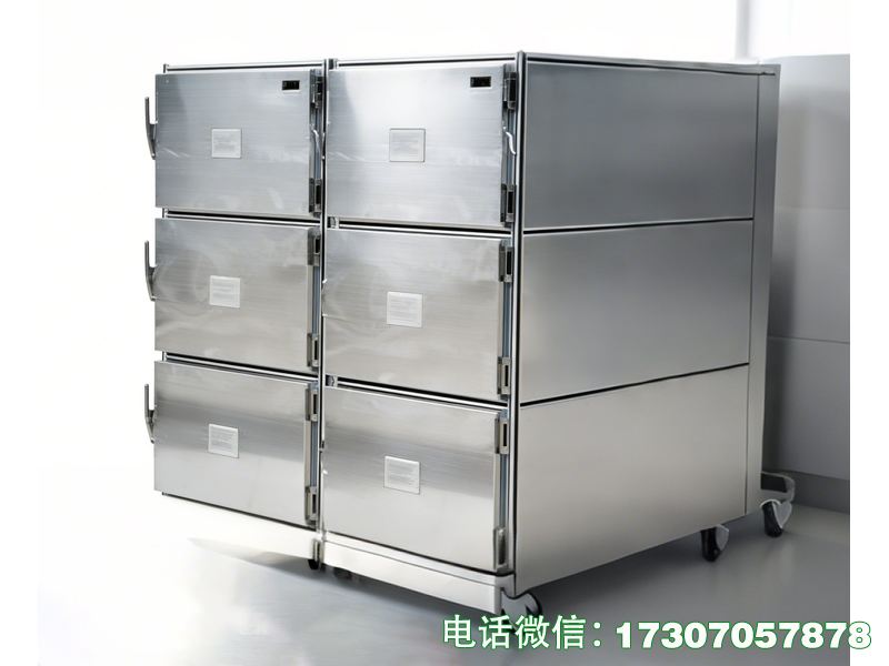 安寧醫(yī)用遺體冷藏柜