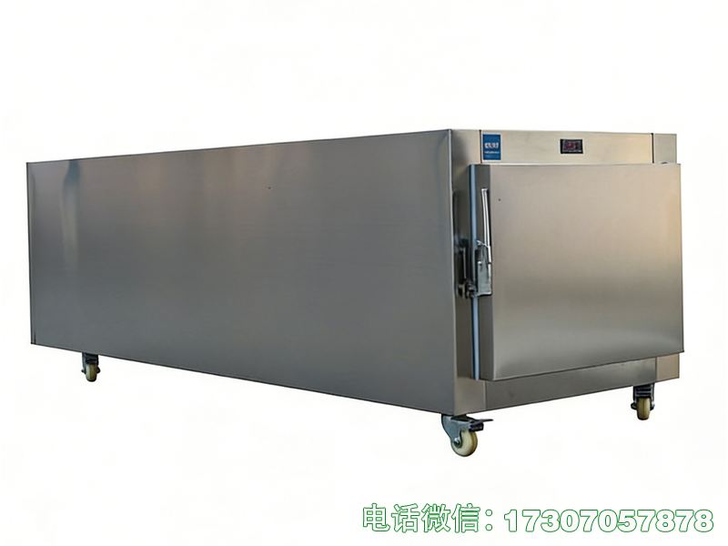 醫(yī)用應(yīng)急遺體柜