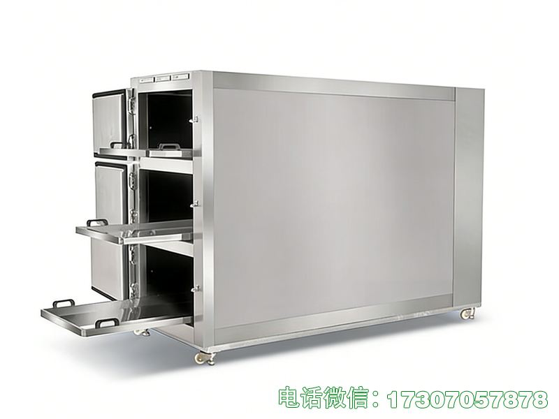 醫(yī)用精準(zhǔn)控溫遺體冷藏柜