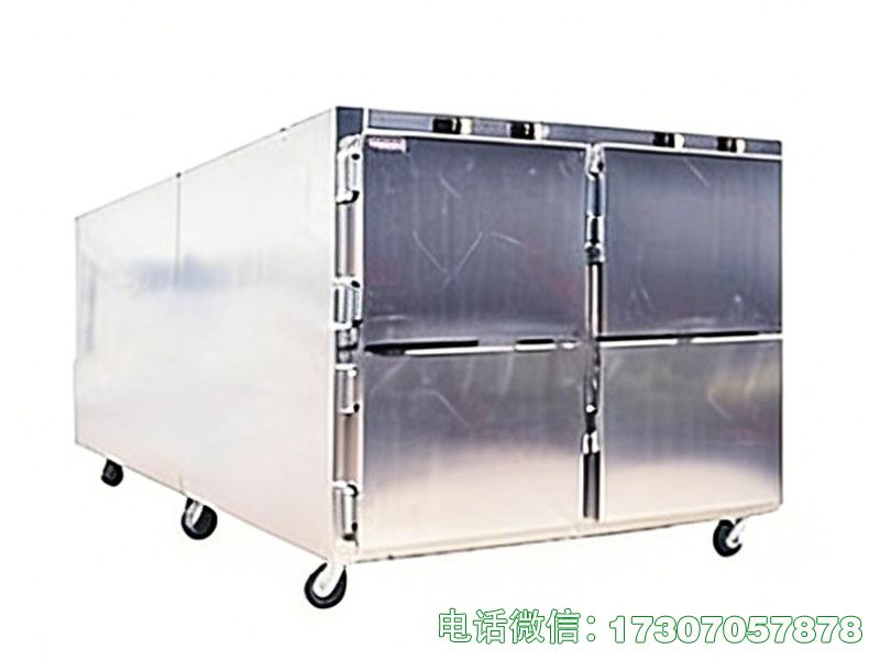 醫(yī)用長(zhǎng)效尸體冷凍柜