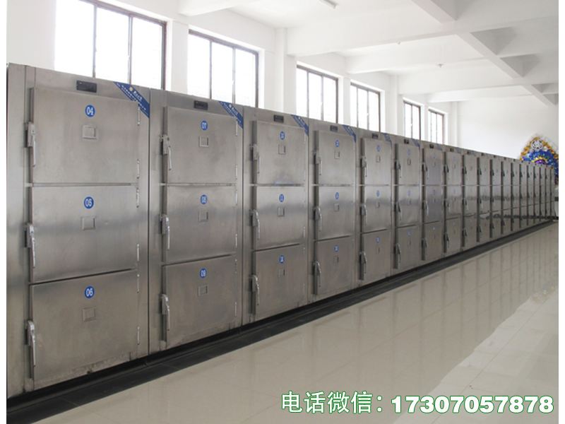 醫(yī)用遺體冷凍箱